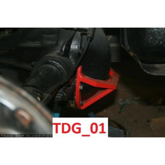 Rear Differential Guard - Thar